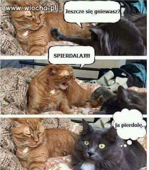Nie gniewaj się.