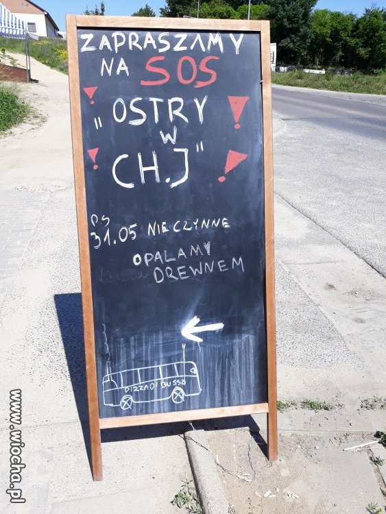 Pizza dla wyższych sfer w Gdańsku 