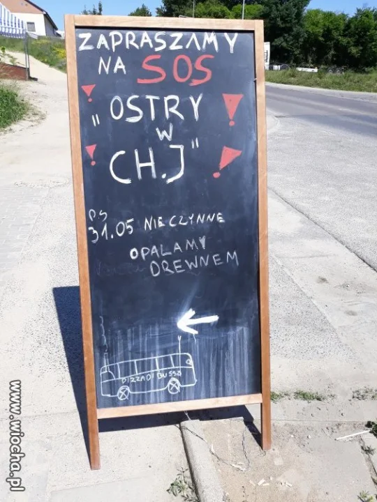Pizza dla wyższych sfer w Gdańsku 