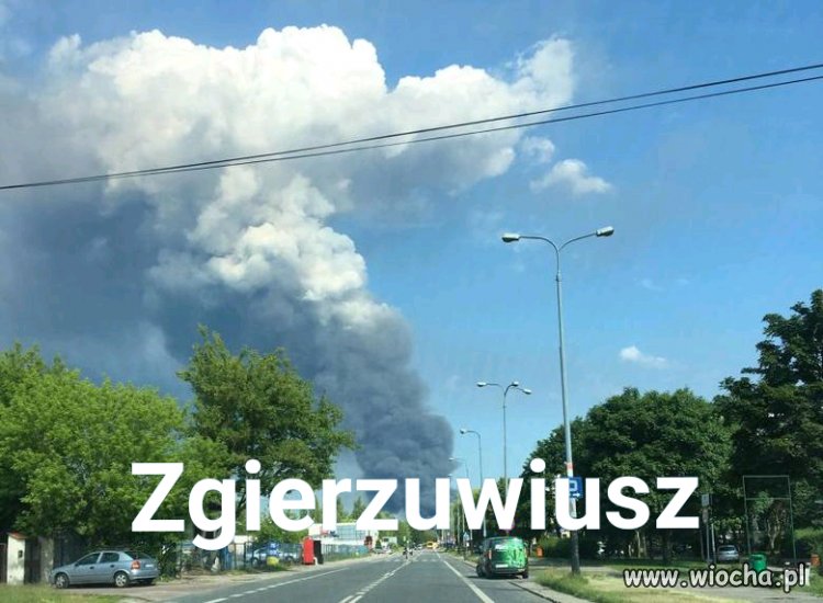 Zgierzuwiusz
