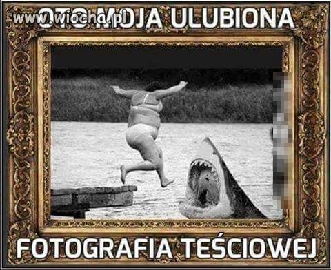 Ulubiona fotografia teściowej