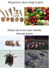 Tak logicznie myśląc
