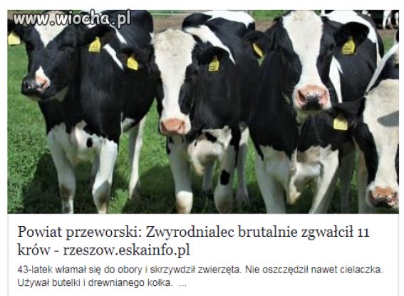 A mówili że ciapate to zwyrodnialce