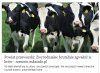 A mówili że ciapate to zwyrodnialce