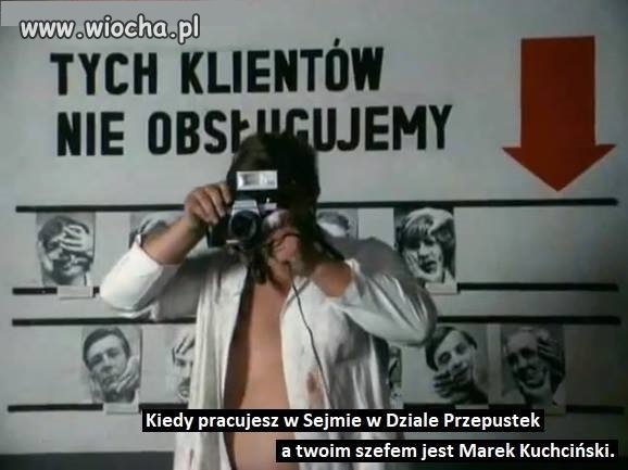 Bareja wiecznie żywy 