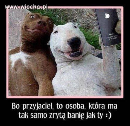 Przyjaciel