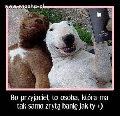 Przyjaciel