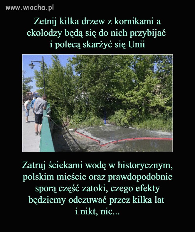 Taka prawda. Gdzie są teraz ekolodzy i UE?