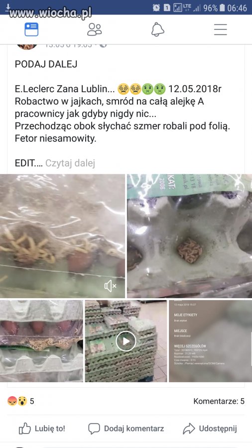 Słychać szmer robali 
