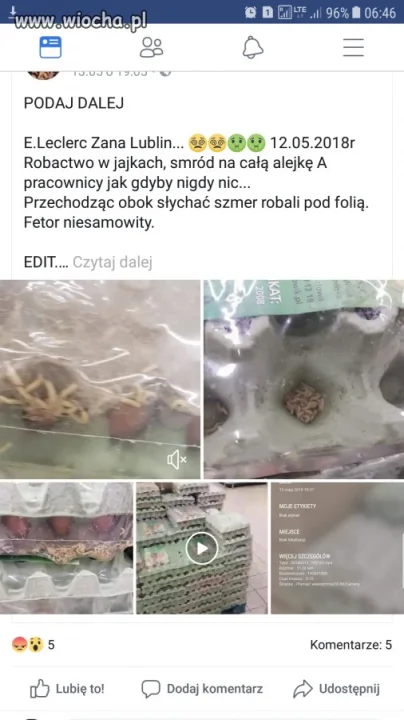 Słychać szmer robali 