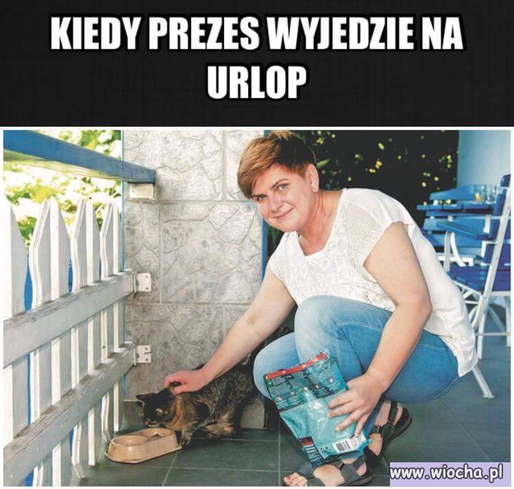 A mówiliście, że jest całkiem bezużyteczna ...