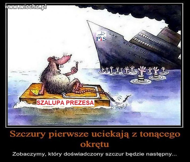Naczelny ściur z nowogrodzkiej
