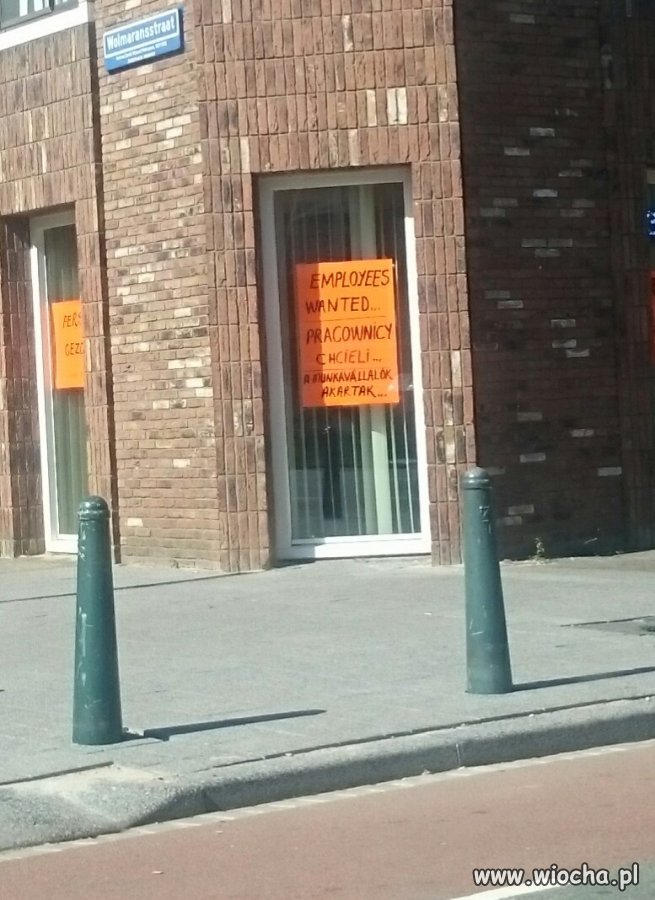 Tymczasem na jednej z ulic Hagi 
