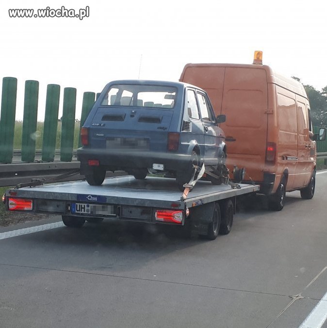 Wywożą dobro narodowe 