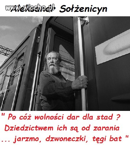 Wolność ??? , po co nam wolność ...