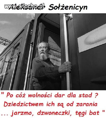Wolność ??? , po co nam wolność ...