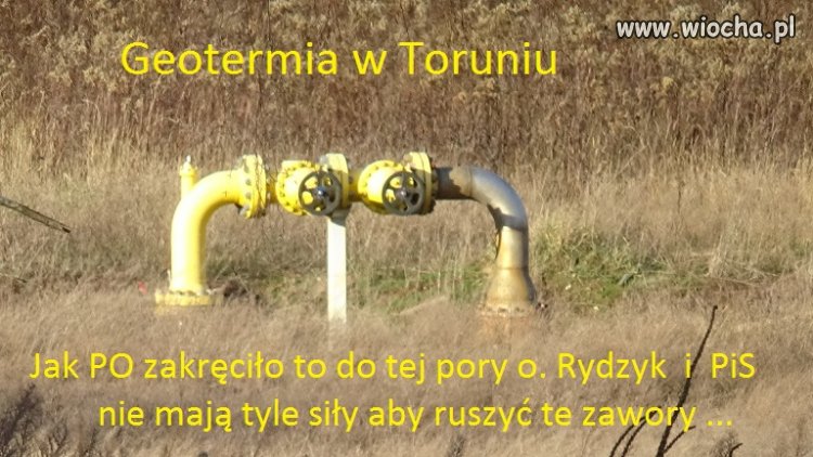 Skuteczność PO