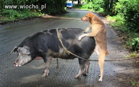 Kiedy już to wiedzą ...