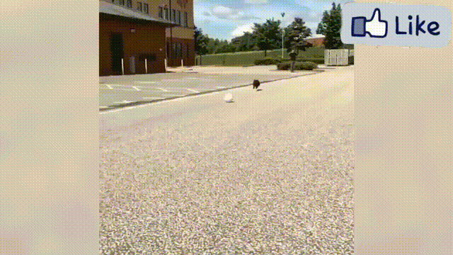Tak to właśnie PIS był coraz bliżej prawdy,