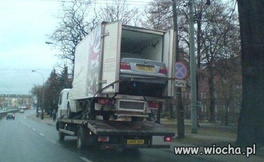 Z cyklu