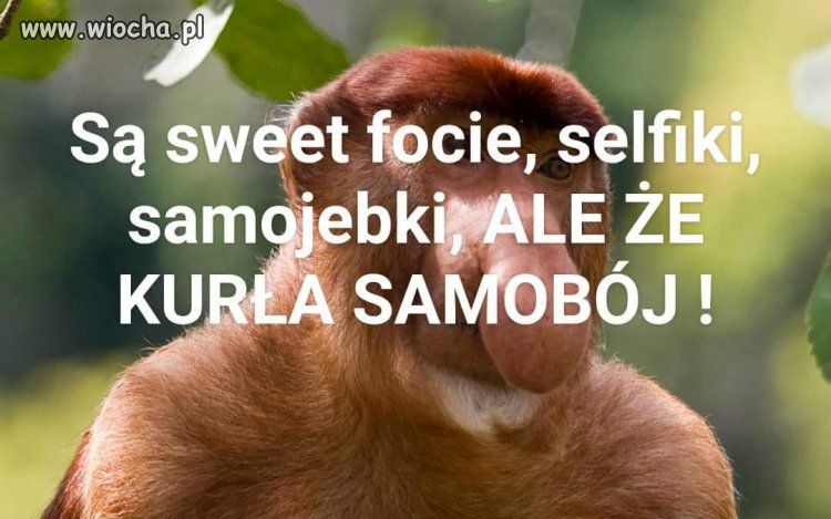 Że co?
