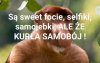 Że co?
