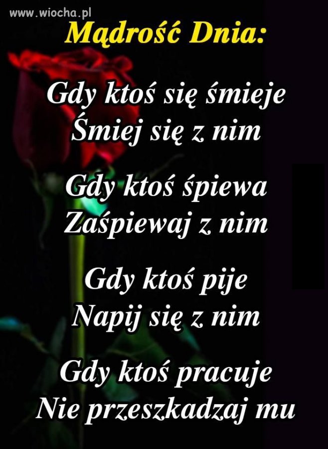 Mądrość dnia