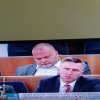 Senat ciężko pracuje...