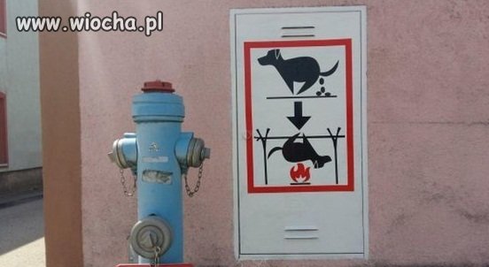 Prosty przekaz