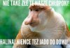 A tak się śmiali z Naszych 