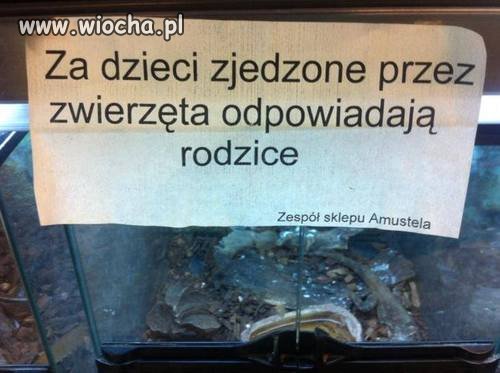Ciekawe czym handlują?
