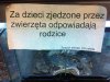 Ciekawe czym handlują?