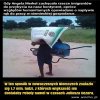 Opis poniżej