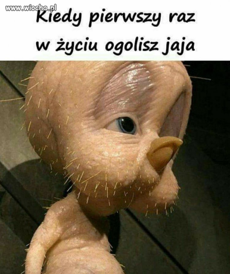 Pierwszy raz w życiu