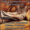 Życiowa prawda