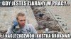 Komórka, tzw cegłówka