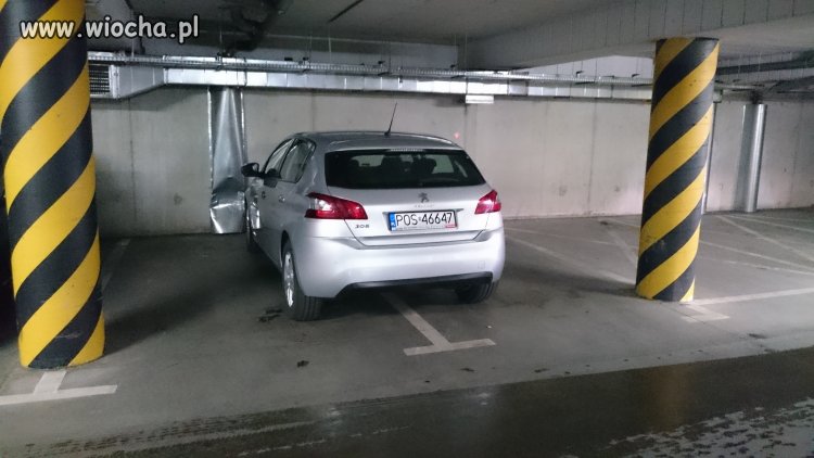 Galeria Krotoszyn...