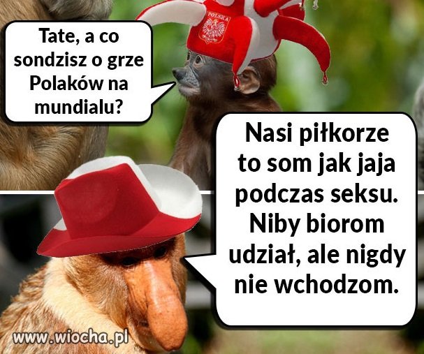 Tak to wygląda