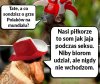 Tak to wygląda