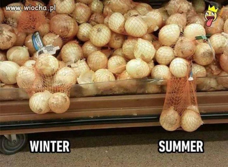 Lato