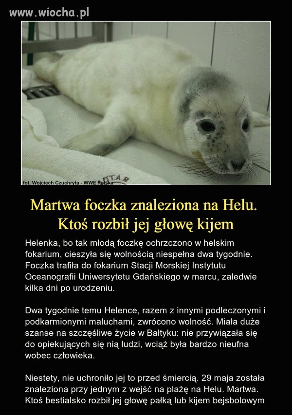 To jakaś nowa sadystyczna zabawa?