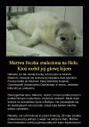 To jakaś nowa sadystyczna zabawa?