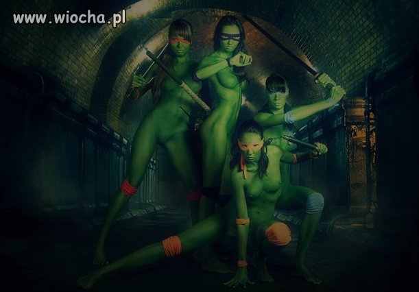 Wojownicze żółwie Ninja