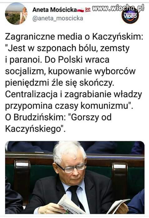 Tak nas widzą.