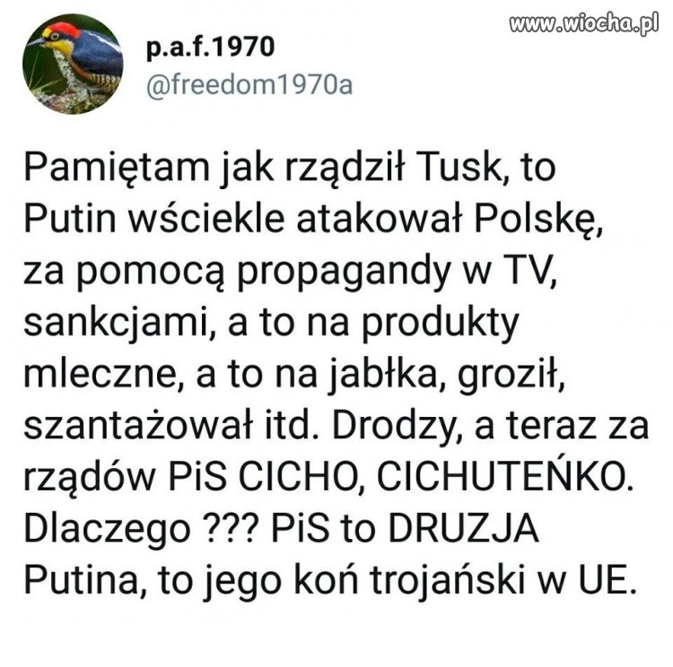 Po cichutku...