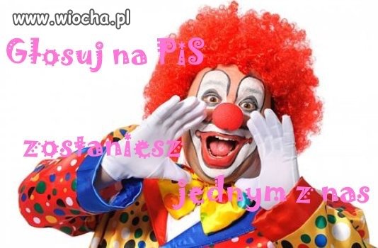 Z cyklu wybory