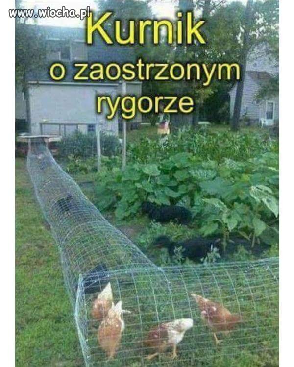 I tak powinno by? 
