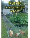 I tak powinno by? 