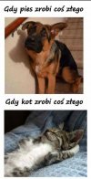 ...różnice...