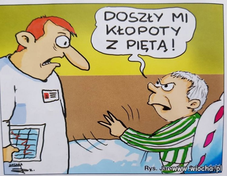A co tam jakaś trzustka, nerka czy kolano ...